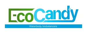 logo ecocandy